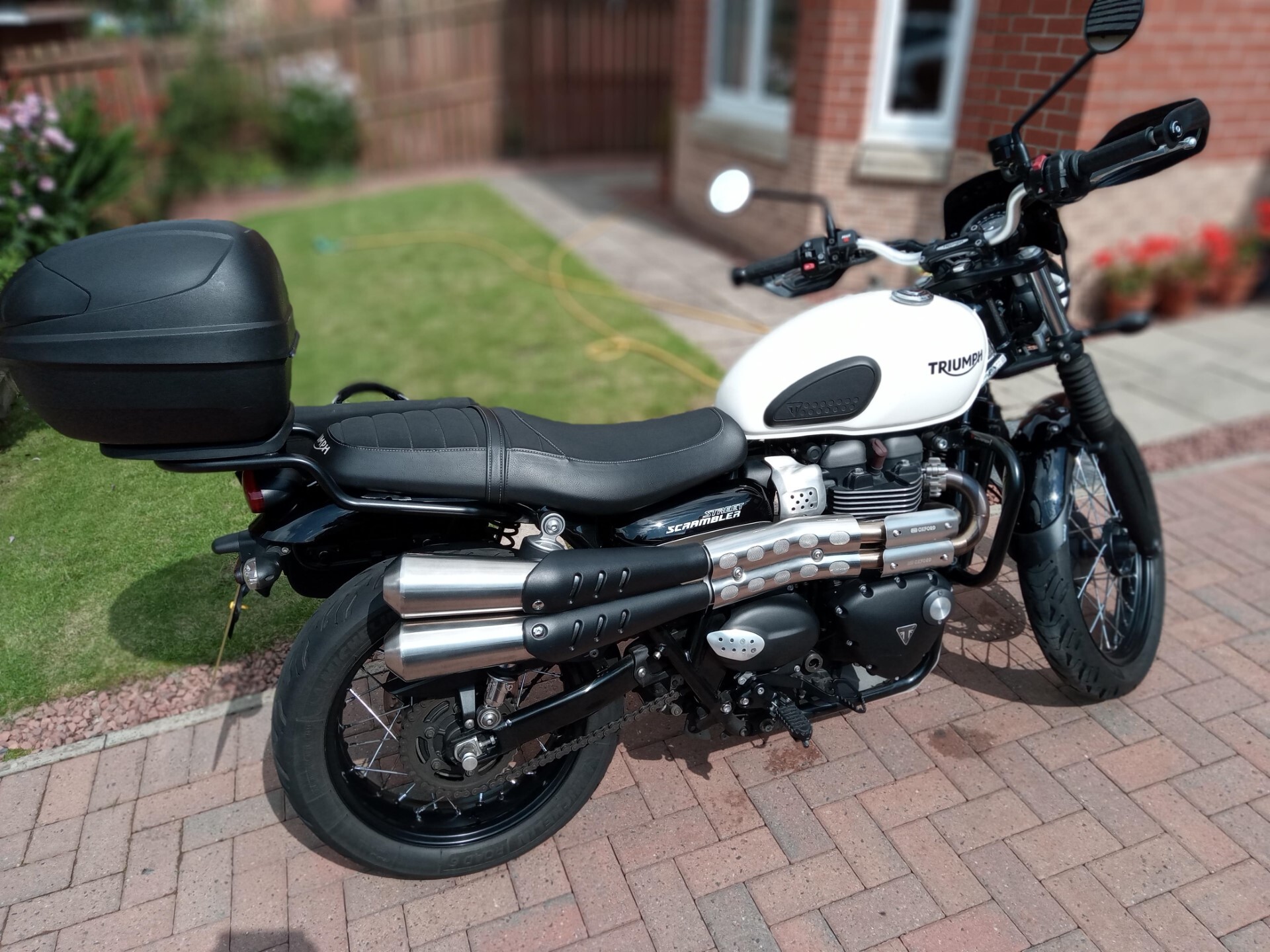 2017 triumph street clearance scrambler for sale