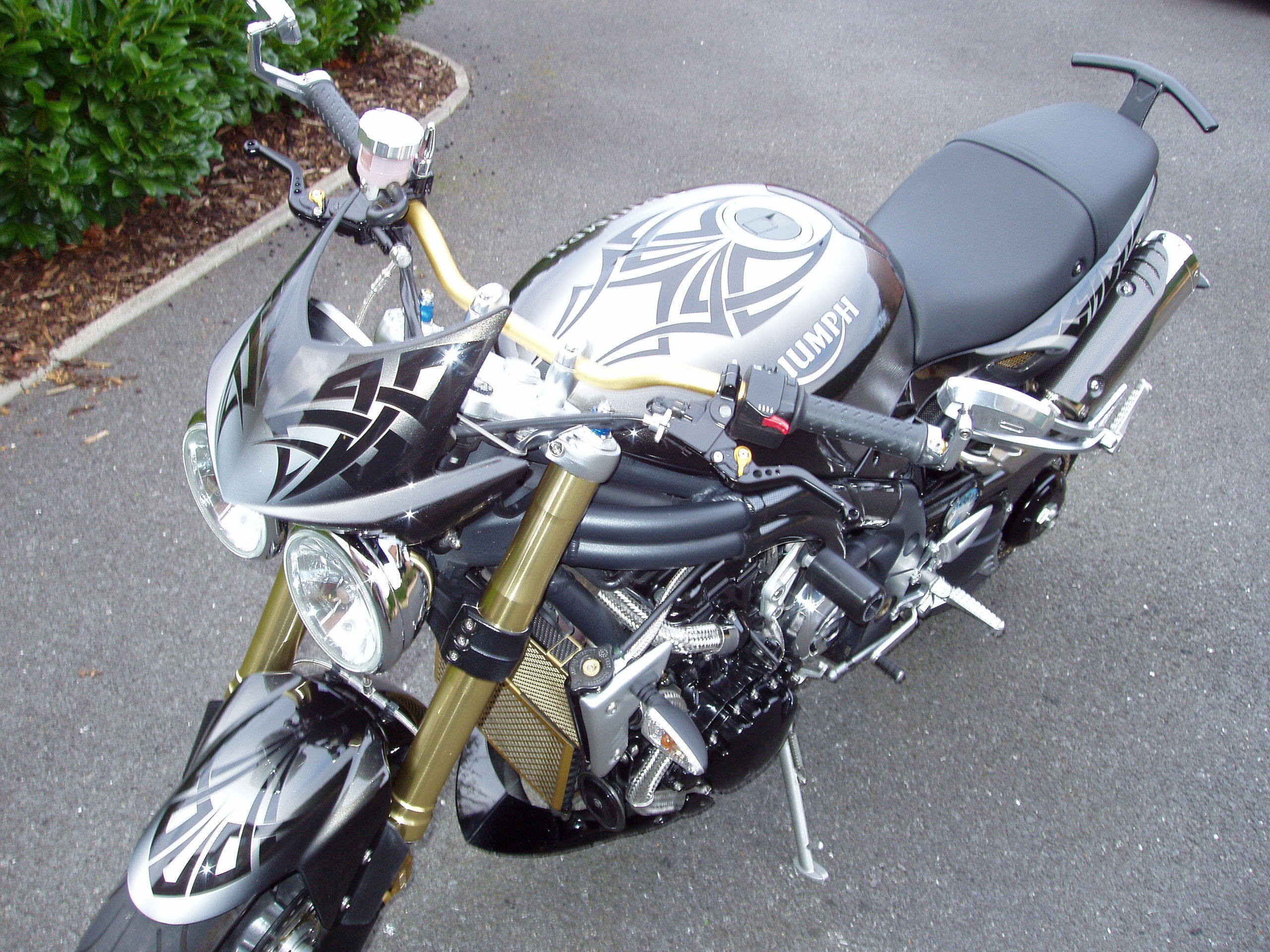 2005 Speed Triple.JPG