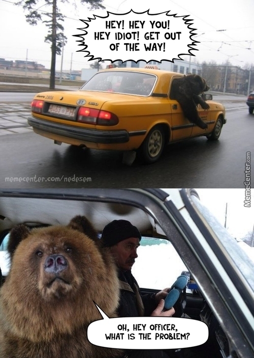 bear-on-traffic_c_3024837.jpg