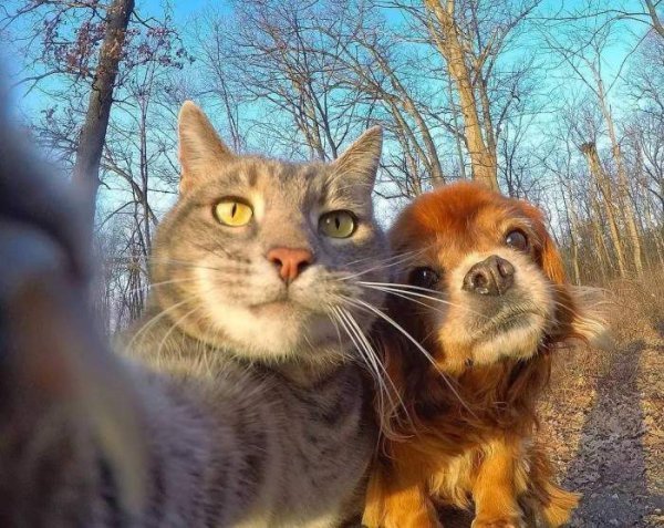 Best-friends-taking-a-selfie.jpg