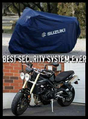 Best Security System Ever.jpg