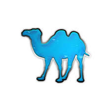 blue_camel.jpg