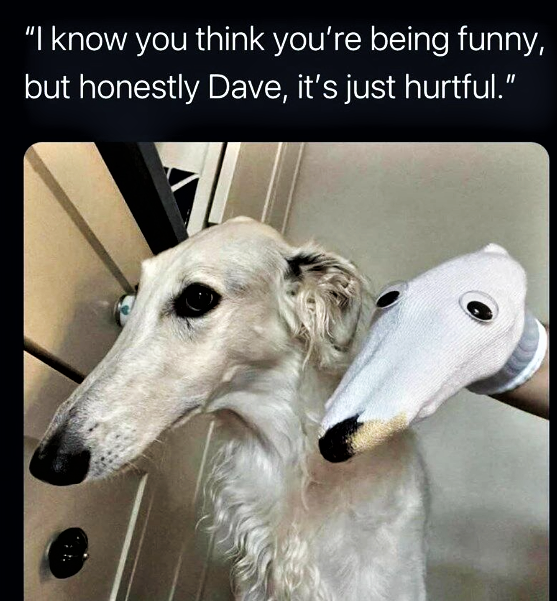 Borzoi.PNG