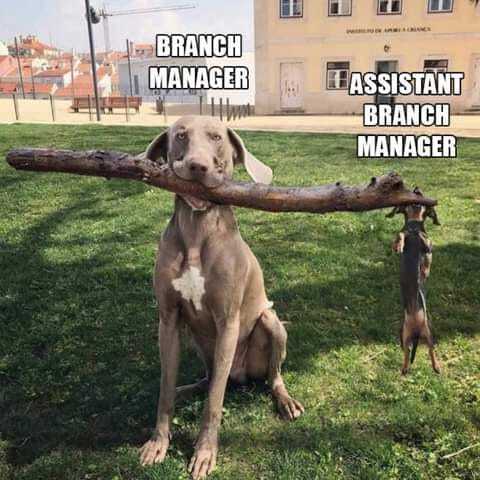 branch manager.jpg