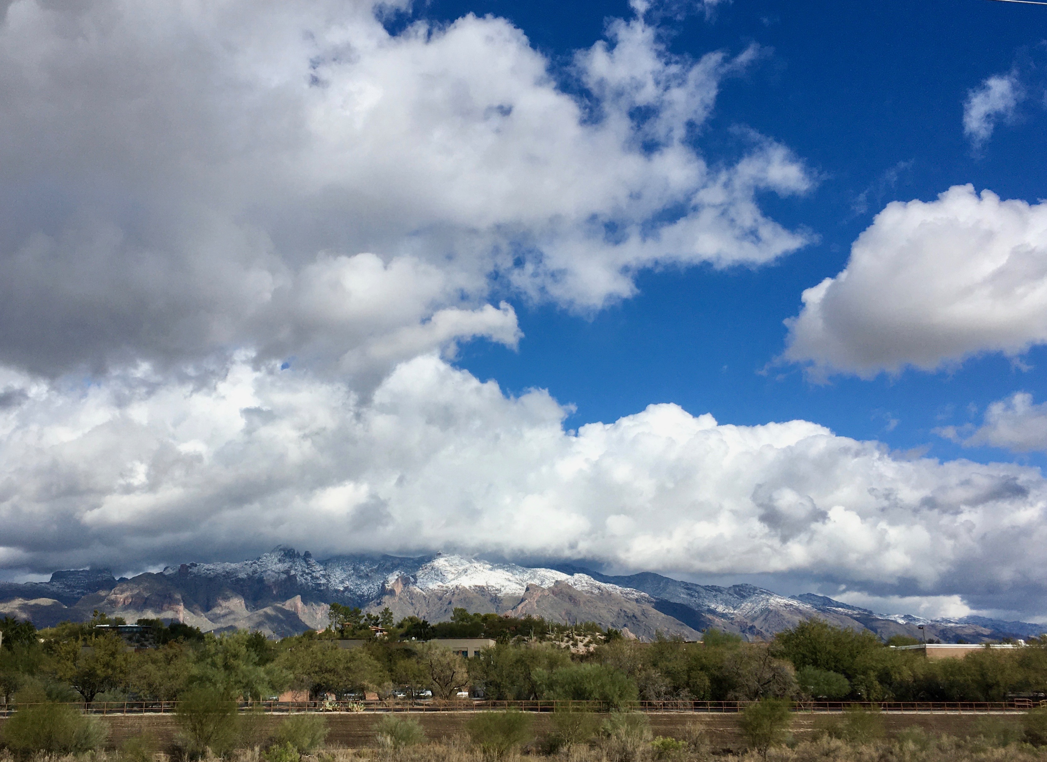 Catalinas snow 12.28,19.jpeg