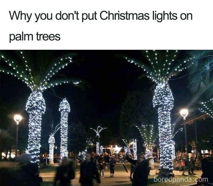 christmas trees.jpg