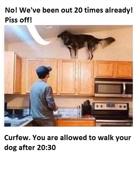 Curfew.jpg