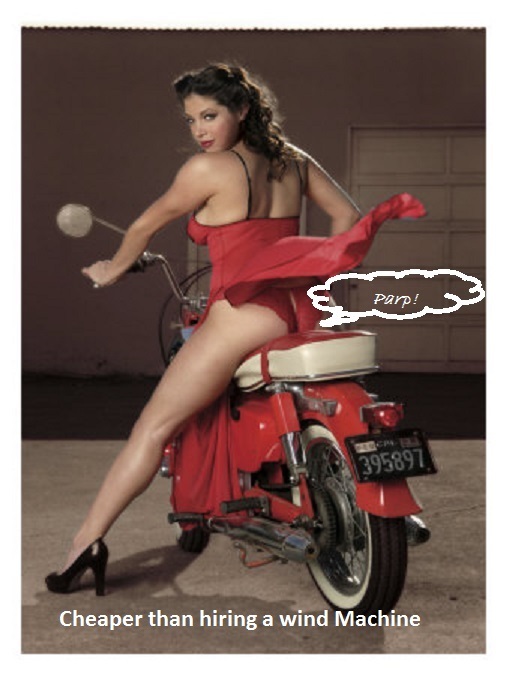 david-perry-motorcycle-pin-up-girl.jpg