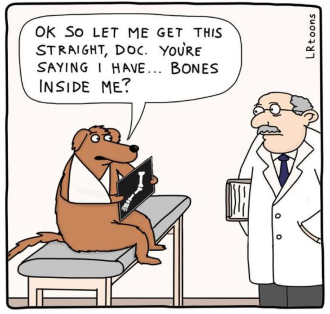 dogs have bones.png