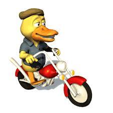 DuckonaBike.jpg