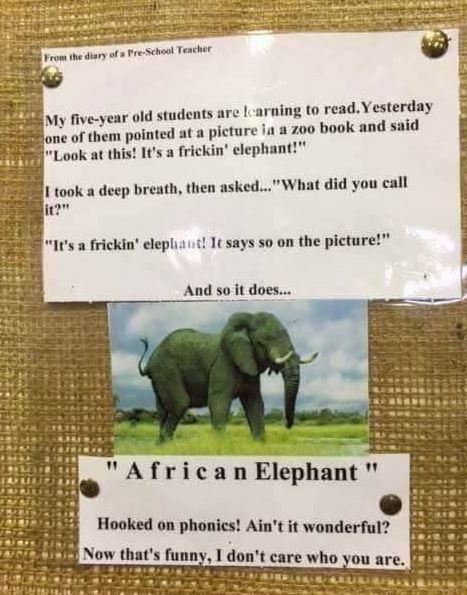 elephant.JPG