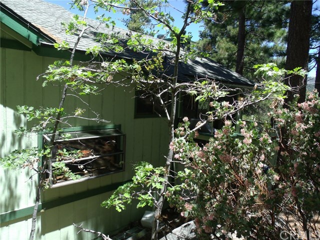 Fern Dr-Rear Garden Window.jpg