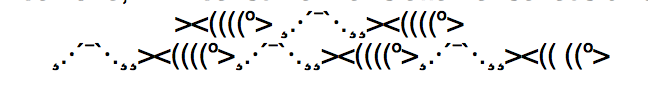 Fish Typed Graphic.png