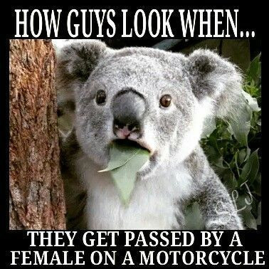 fresh-funny-motorcycle-quotes-sayings-biker-quote-136-biker-pinterest.jpg