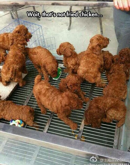 fried-chicken.jpg