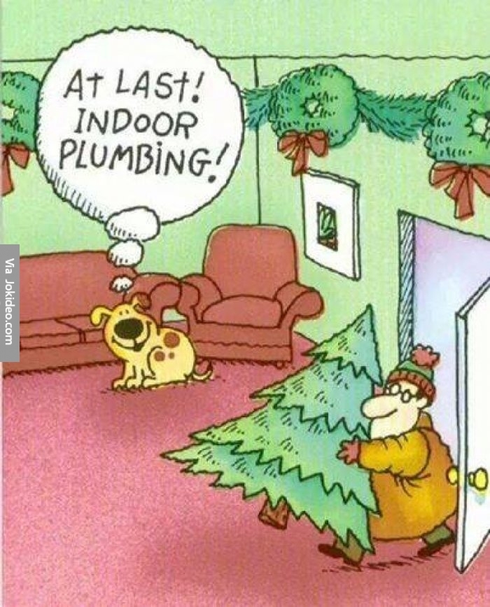 Funny-dog-christmas-cartoon.jpg