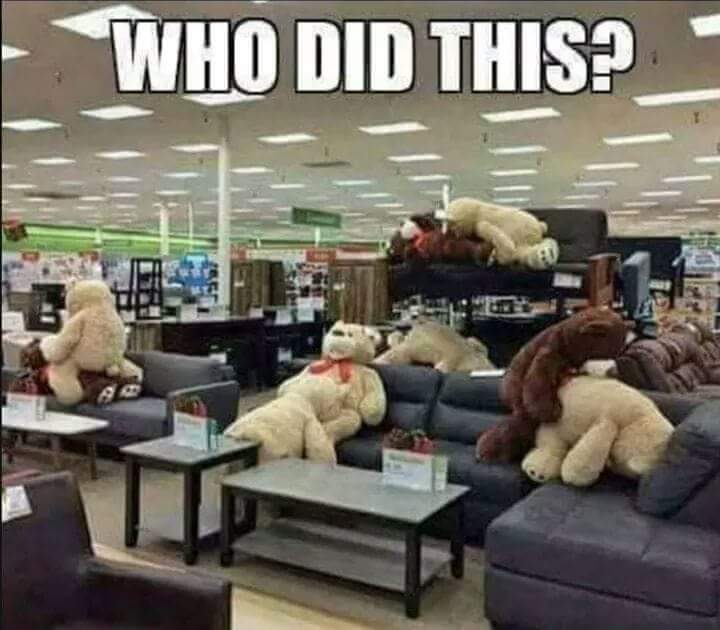 funny-pictures-furniture-bears-artwork-4693857.jpeg