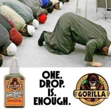 GorillaGlue.jpg