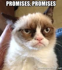 grumpy cat.jpg