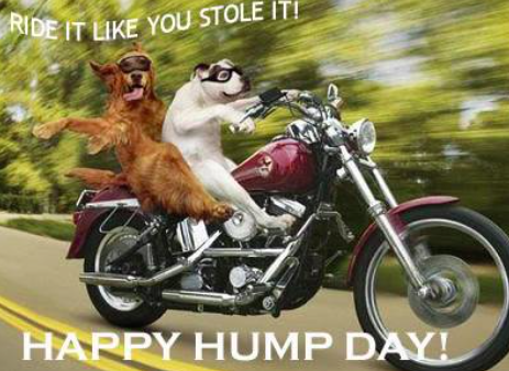 Happy Hump Day! copy.png