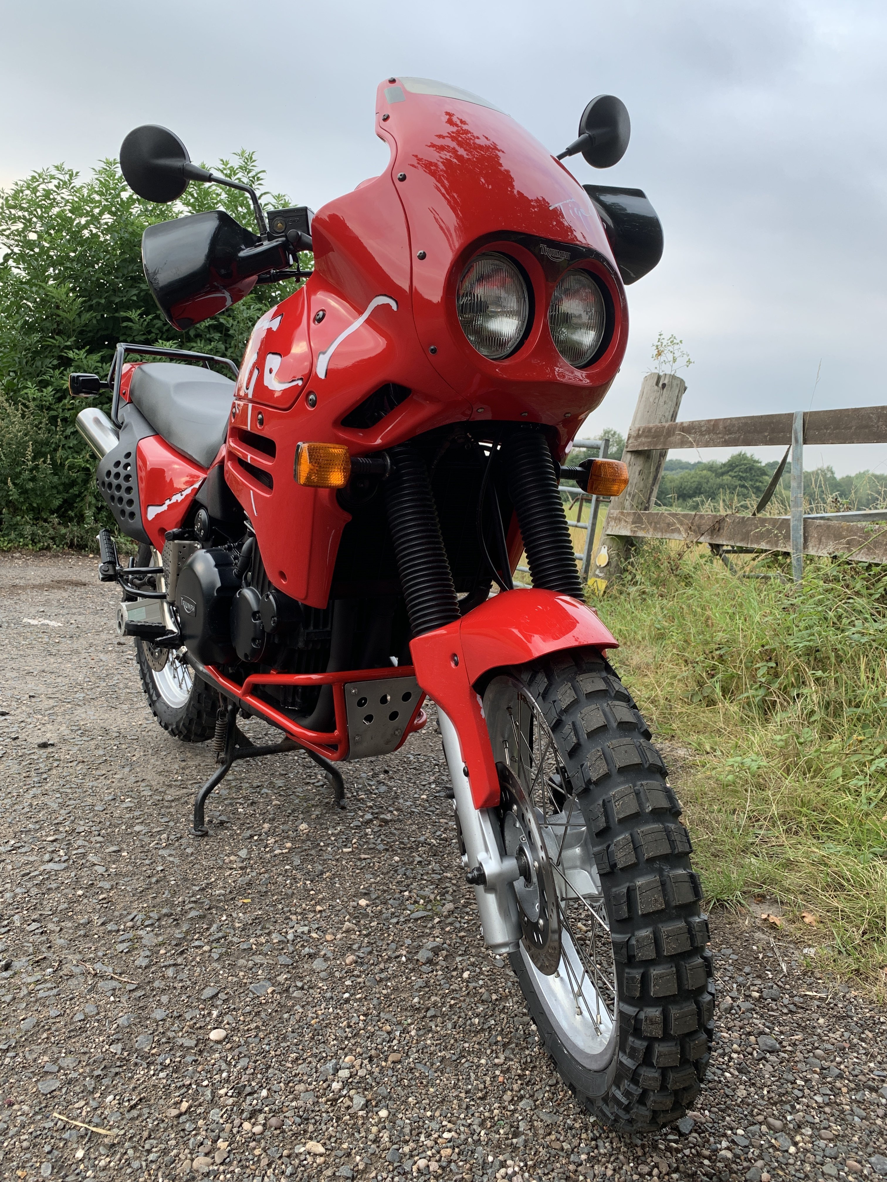 1994 triumph online tiger