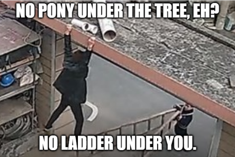 Ladder 2.PNG