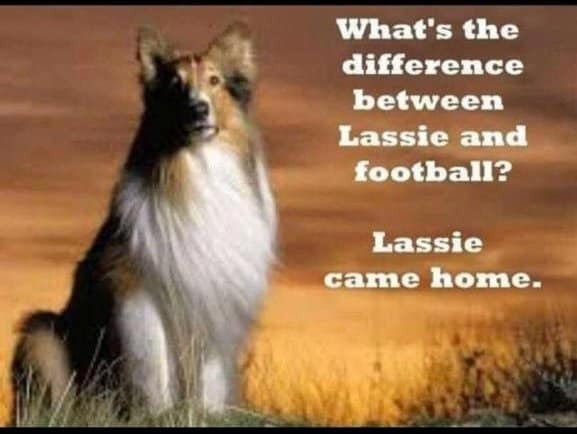 lassie.jpg