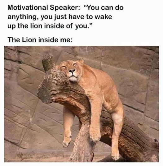 lion inside.jpg