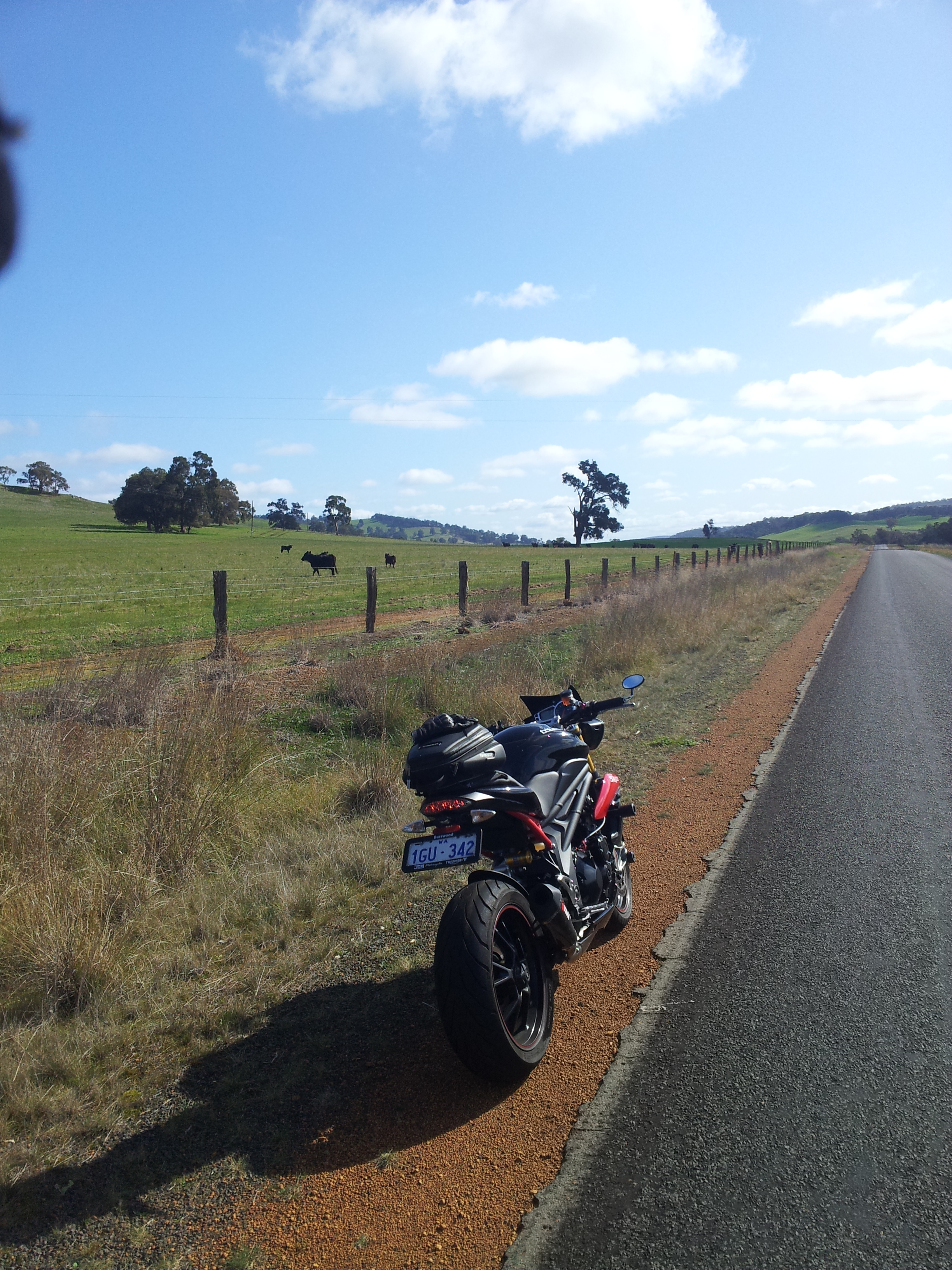 lower hotham Rd 26 july14.jpg