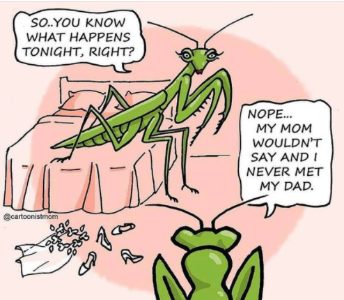 mantis.png