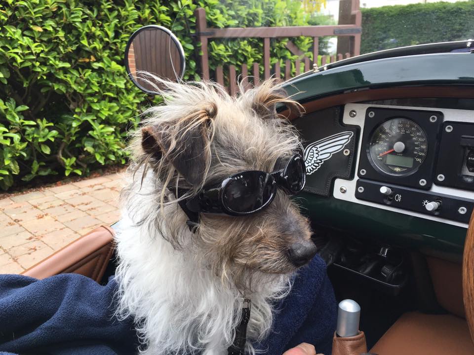 Max in his Morgan Three-Wheeler.jpg