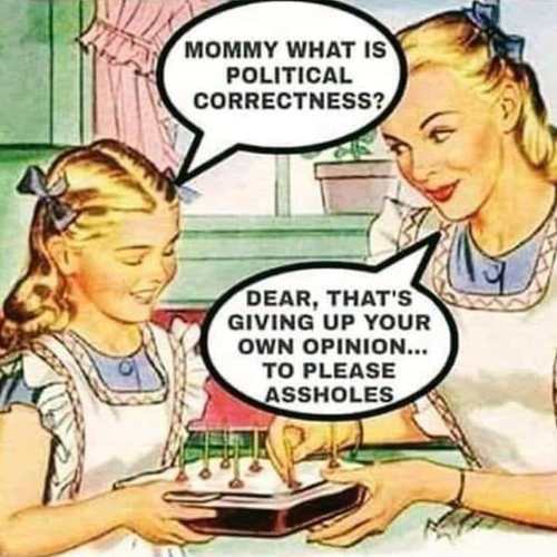 mommy-what-is-political-correctness-give-up-your-opinion-to-please-assholes.jpg