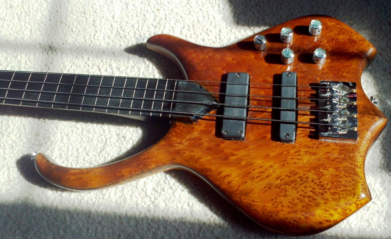 my fretless.jpg