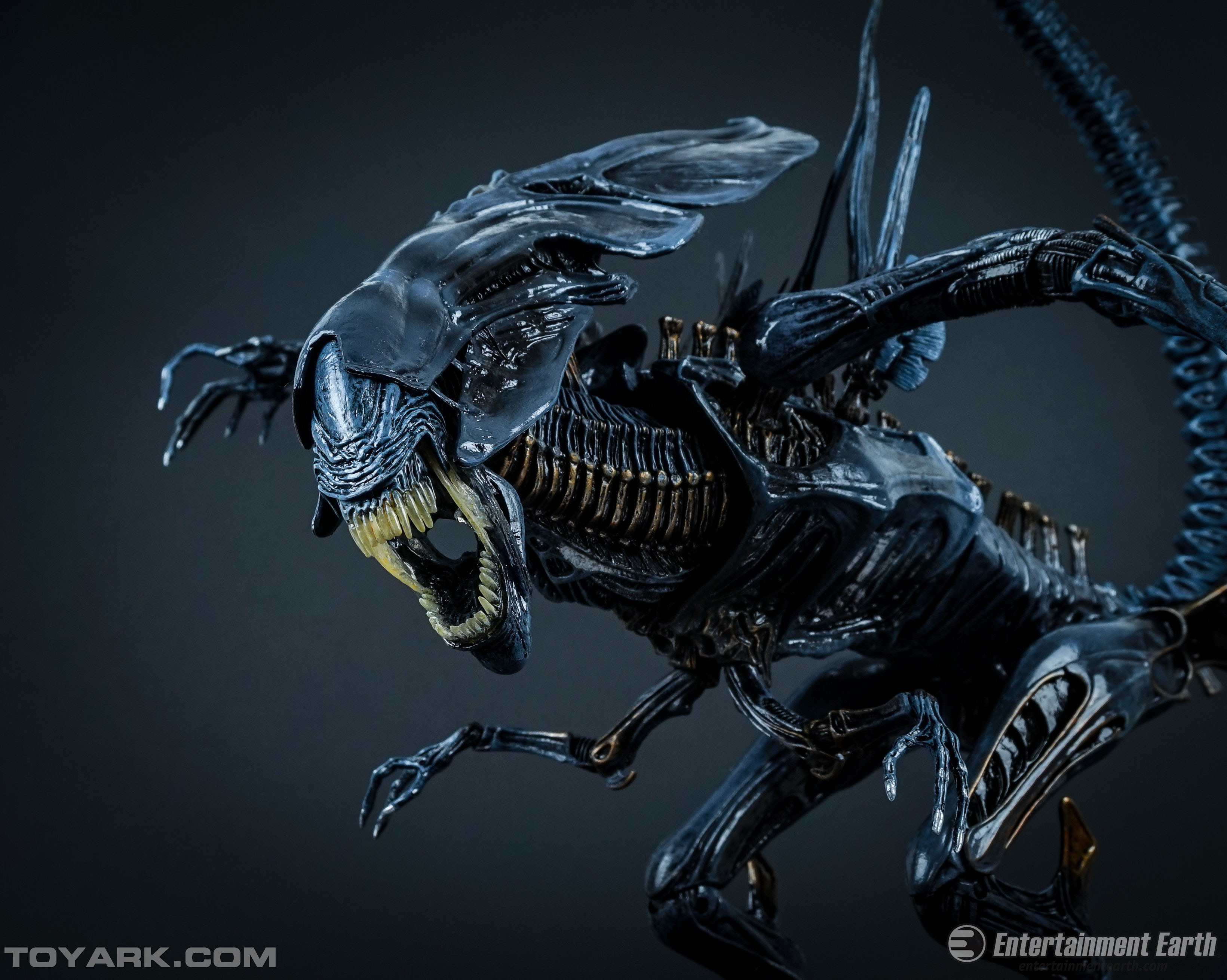 NECA-Alien-Queen-034.jpg