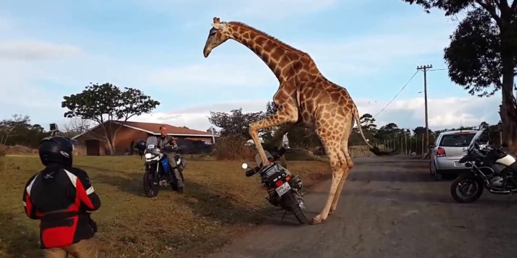 o-GIRAFFE-MOTORCYCLE-facebook.jpg