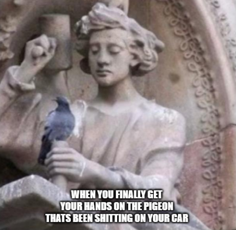 Pigeon.PNG