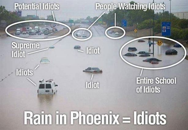 Rain Idiots.jpg