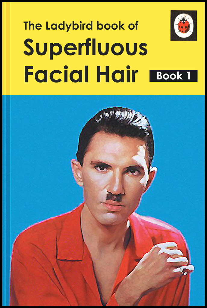 ron-mael-ladybird-cover.jpg