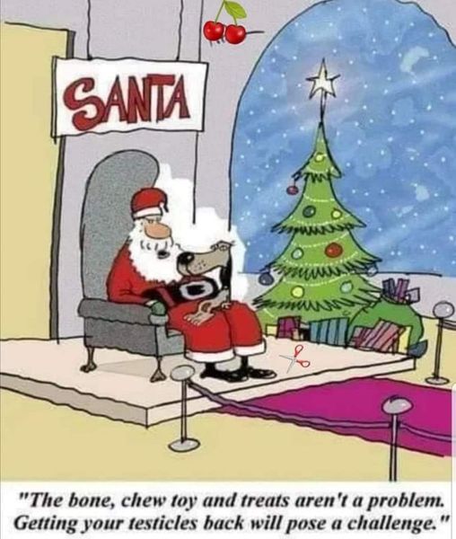 santa dog.jpg