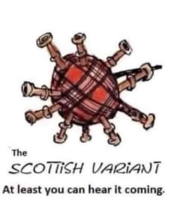 scot v.PNG