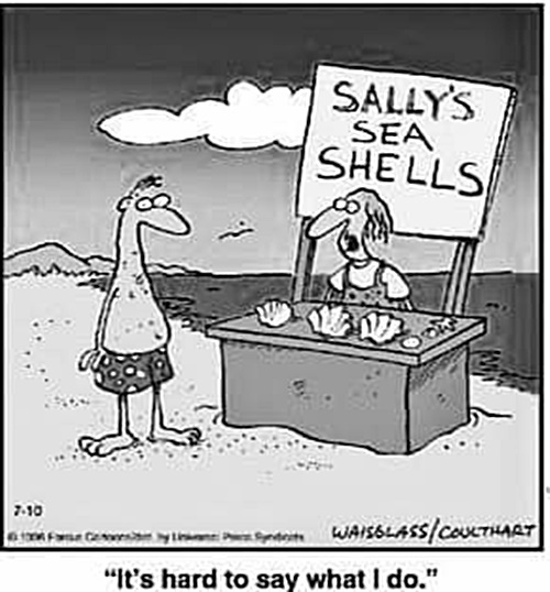 sea shells.jpg