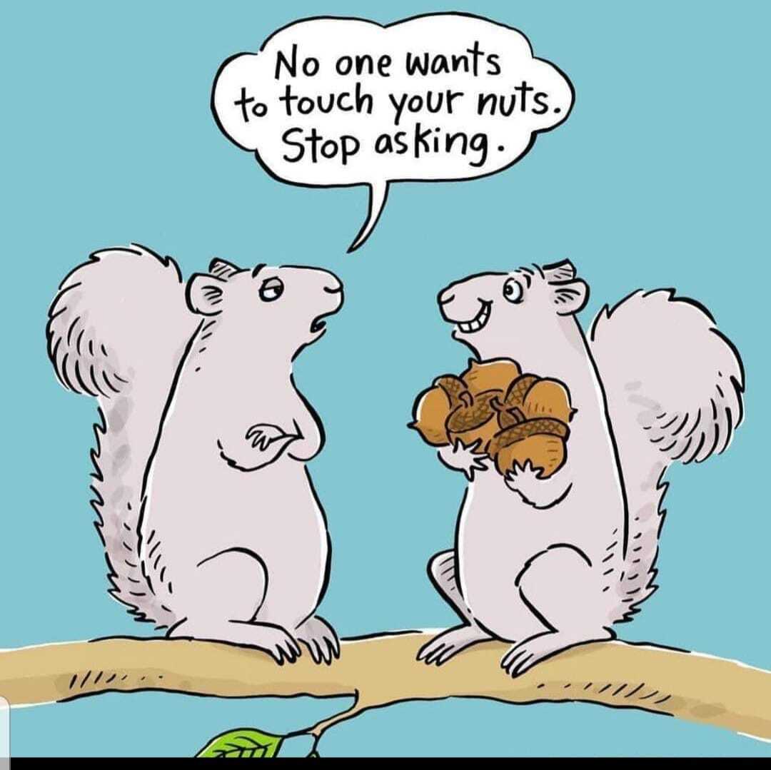 Stop asking. Your Nuts. Nuts fun.