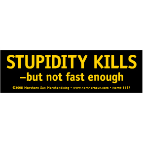 Stupidity-Kills-Sticker-(5197).jpg