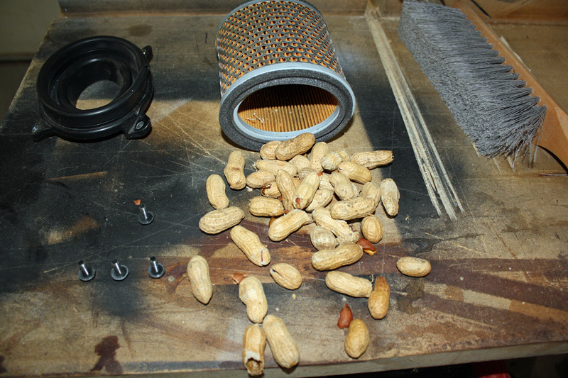 T-Bird_Prep_Peanuts_090218.jpg