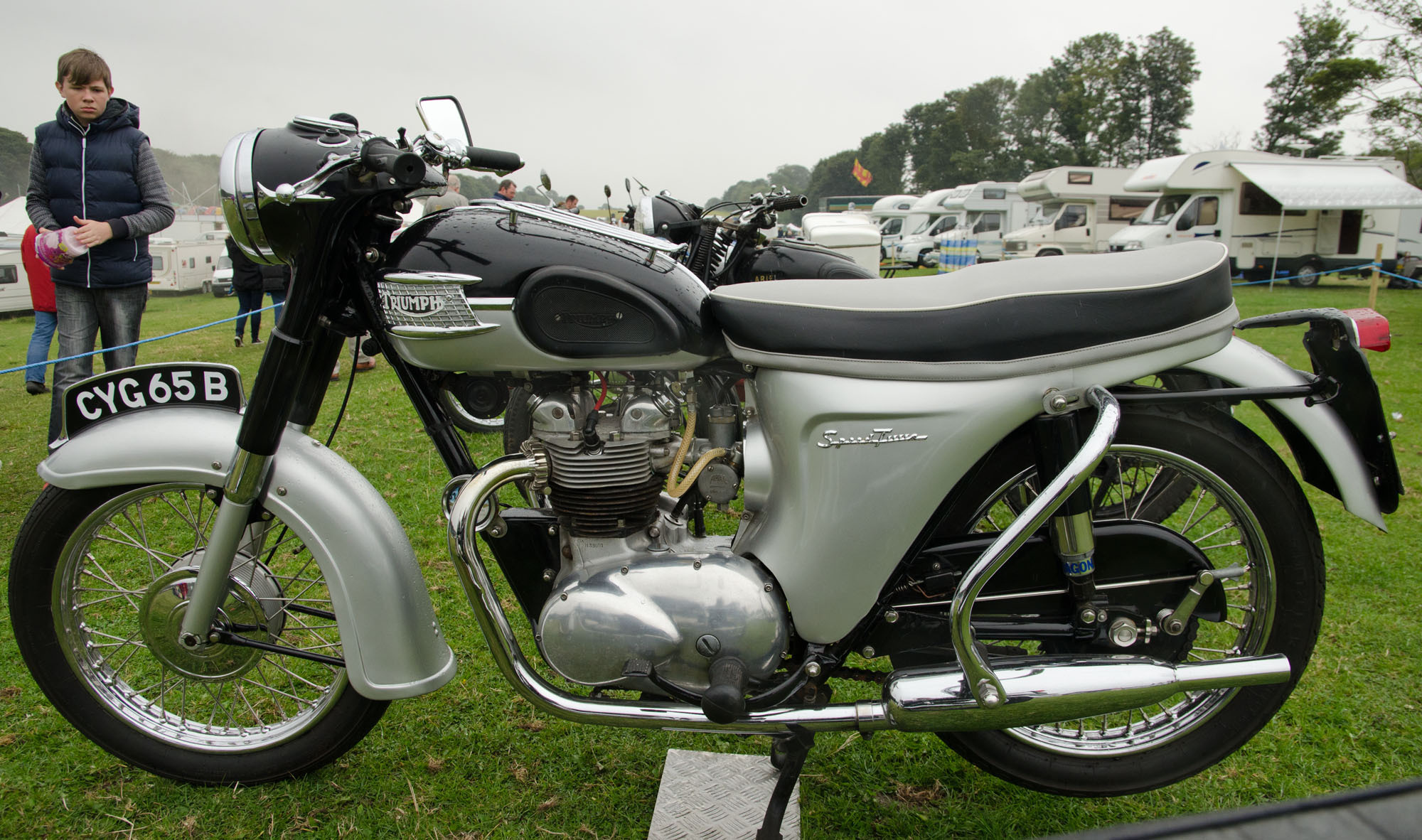 Triumph_5TA_Speed_Twin_(1964)_-_15875061686.jpg