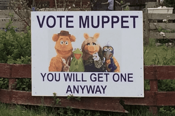 vote-muppet.png