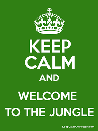 Welcome To The Jungle .png