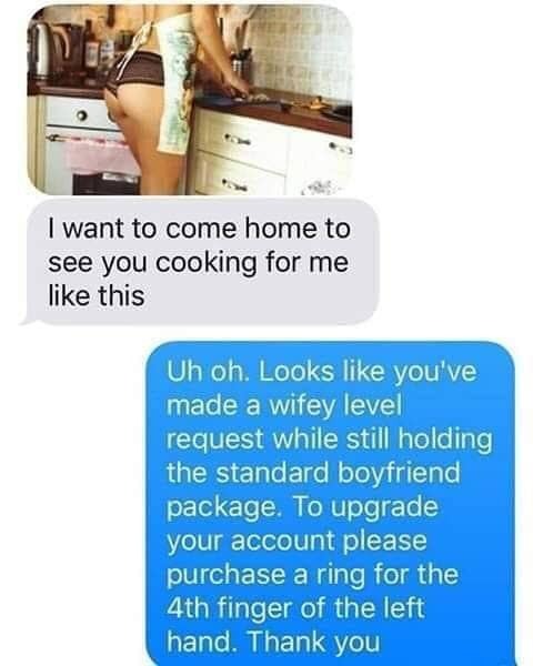 wife_upgrade.jpg