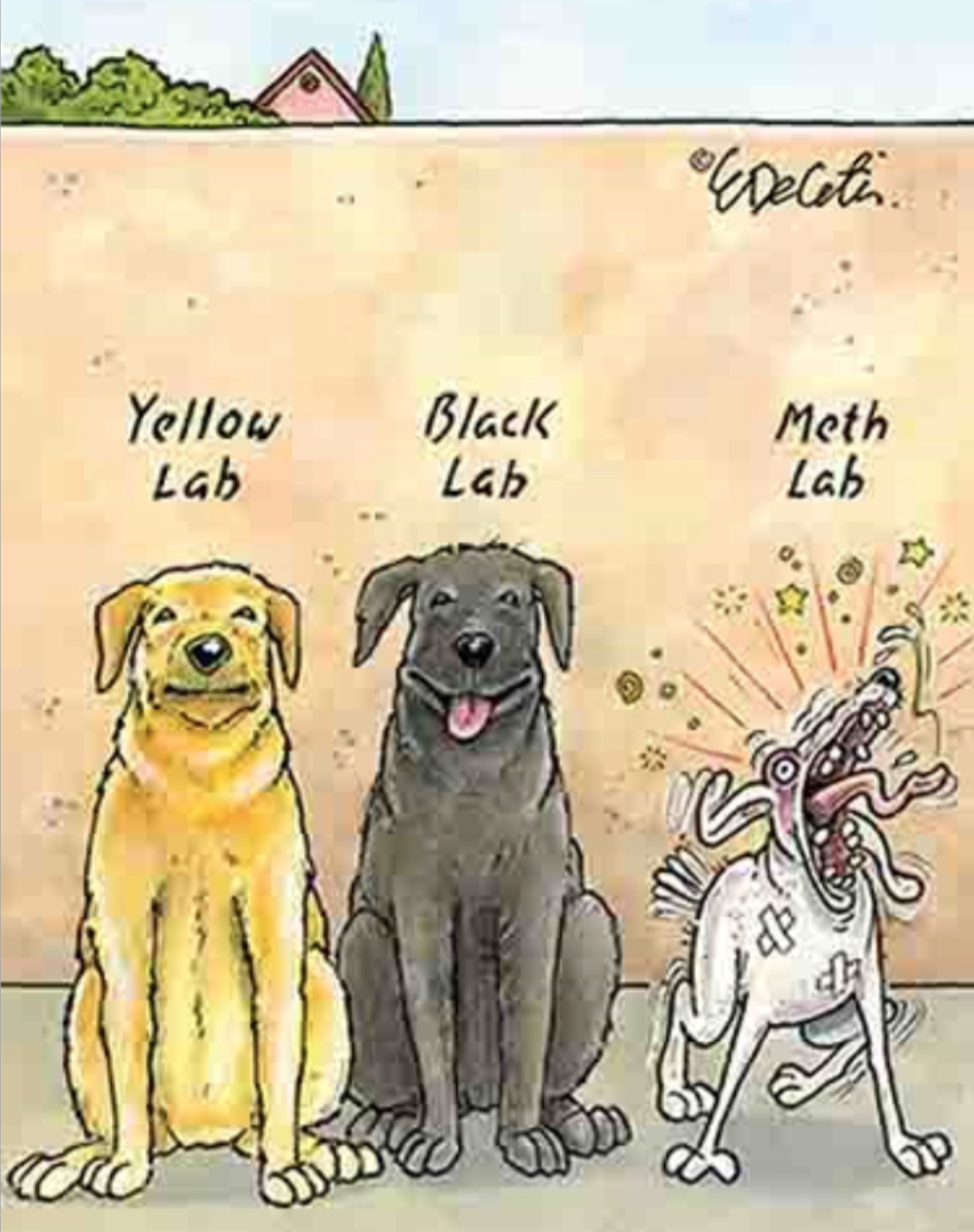 Yellow lab Black lab Meth lab.png