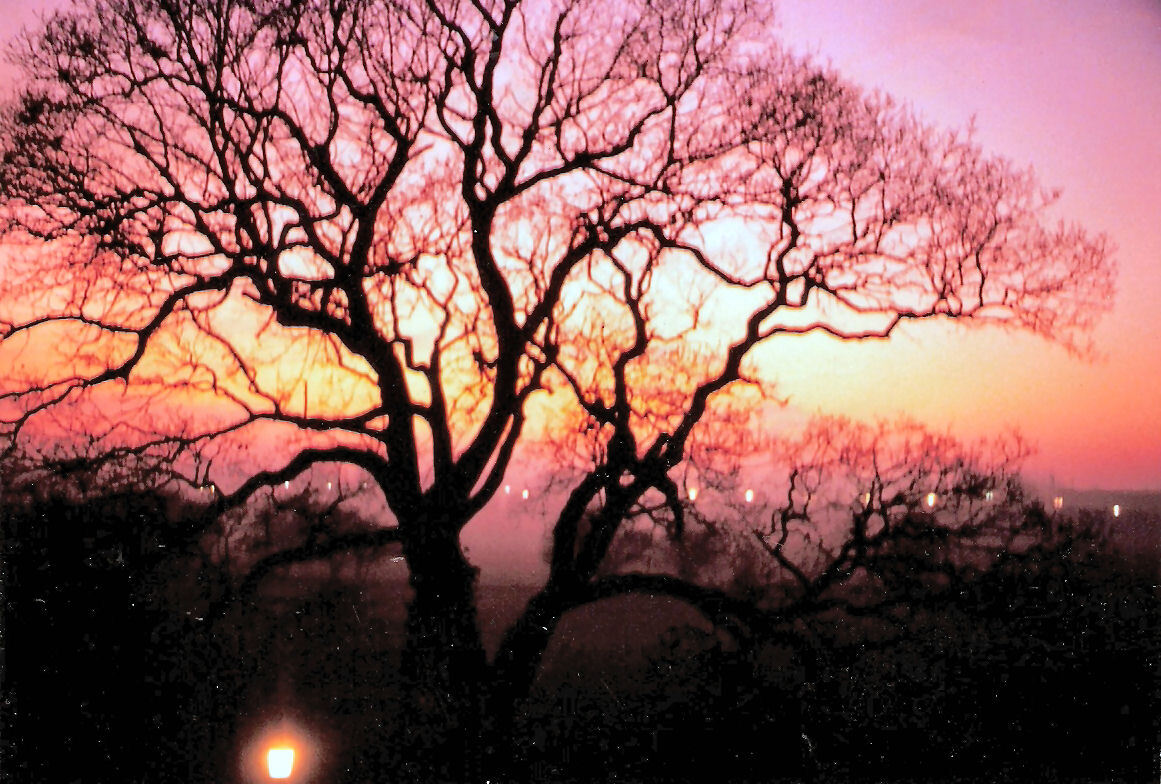 York sunset over the stray 1992.jpg